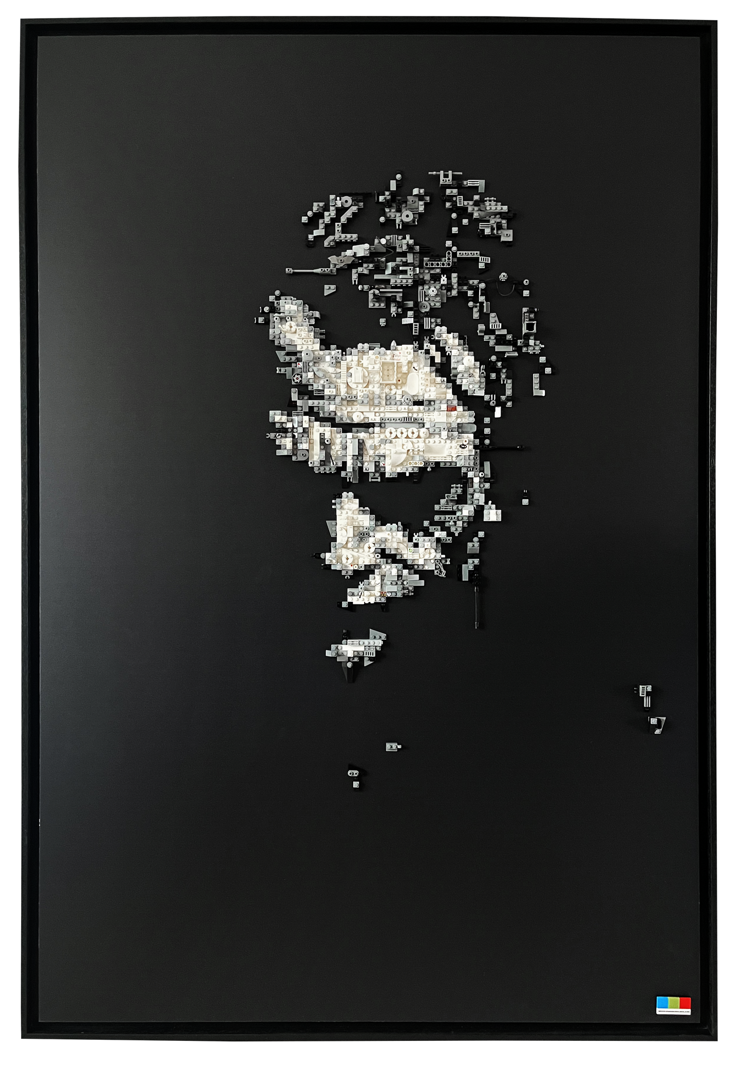 JOKER'S SHADOW