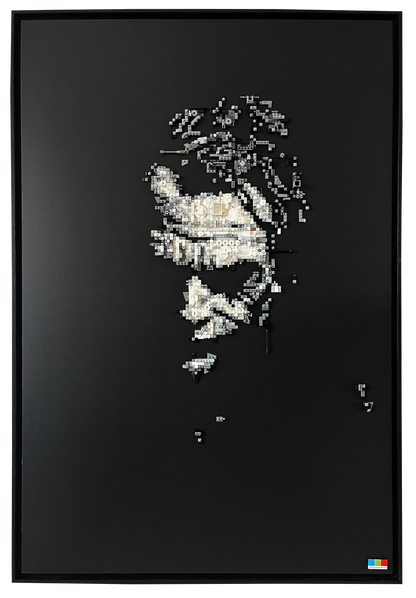 JOKER'S SHADOW