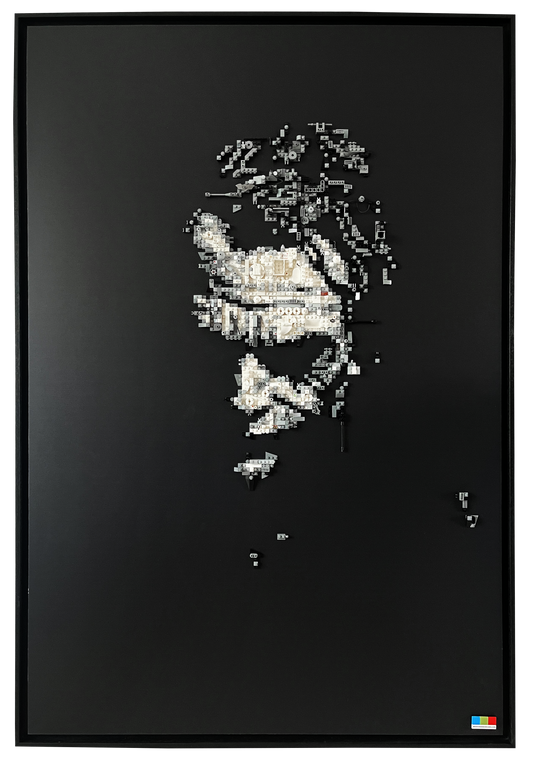JOKER'S SHADOW